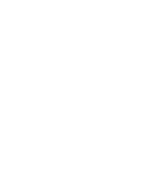 Managed IT Network Services